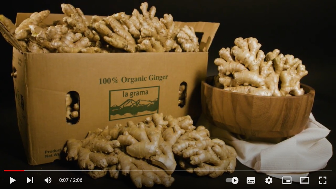 La Grama Organic Ginger