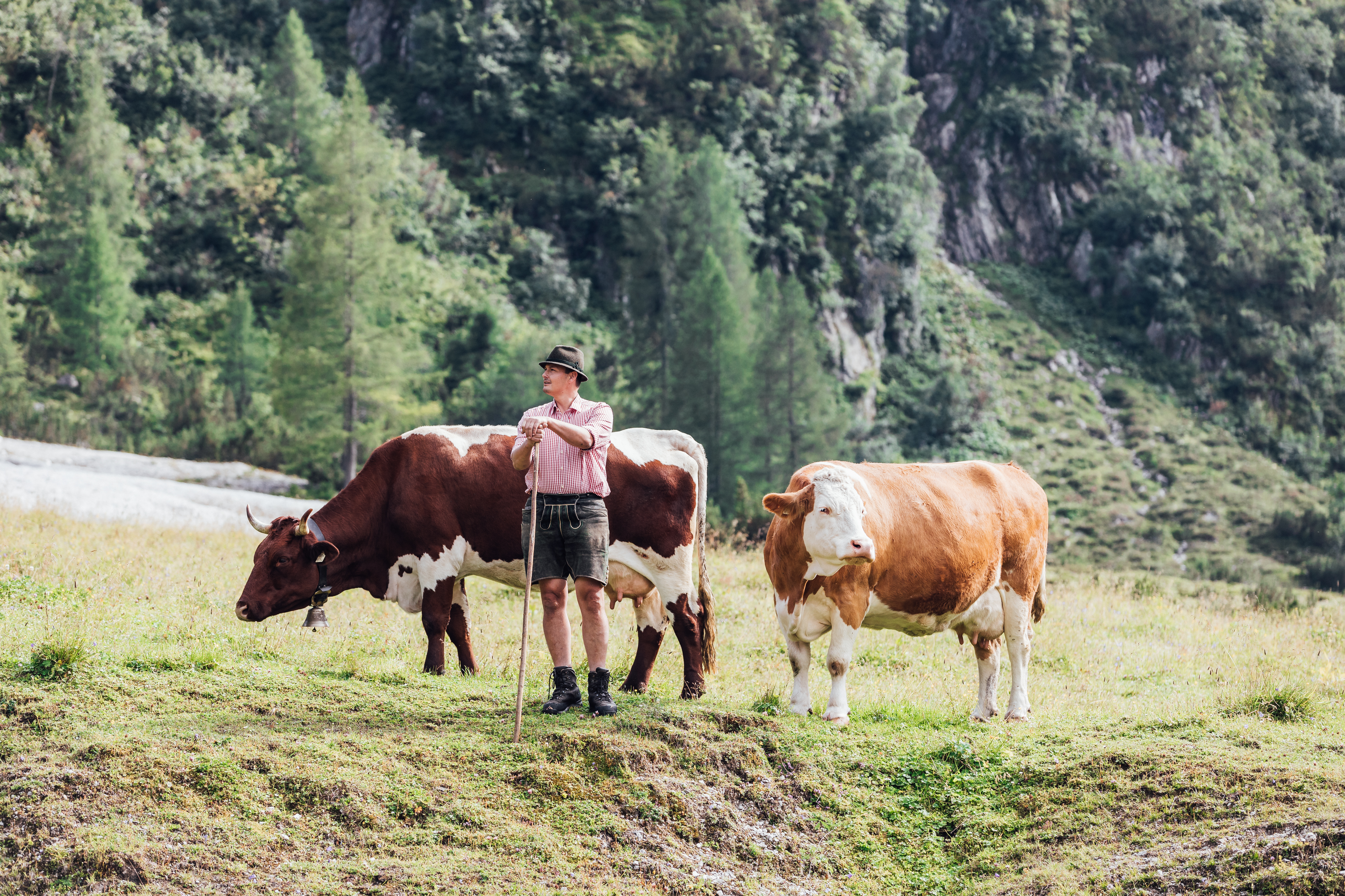 Product Portfolio - Strengthen your products with Prolactal's Dairy Ingredients