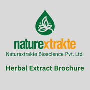 Herbal Extracts Brochure