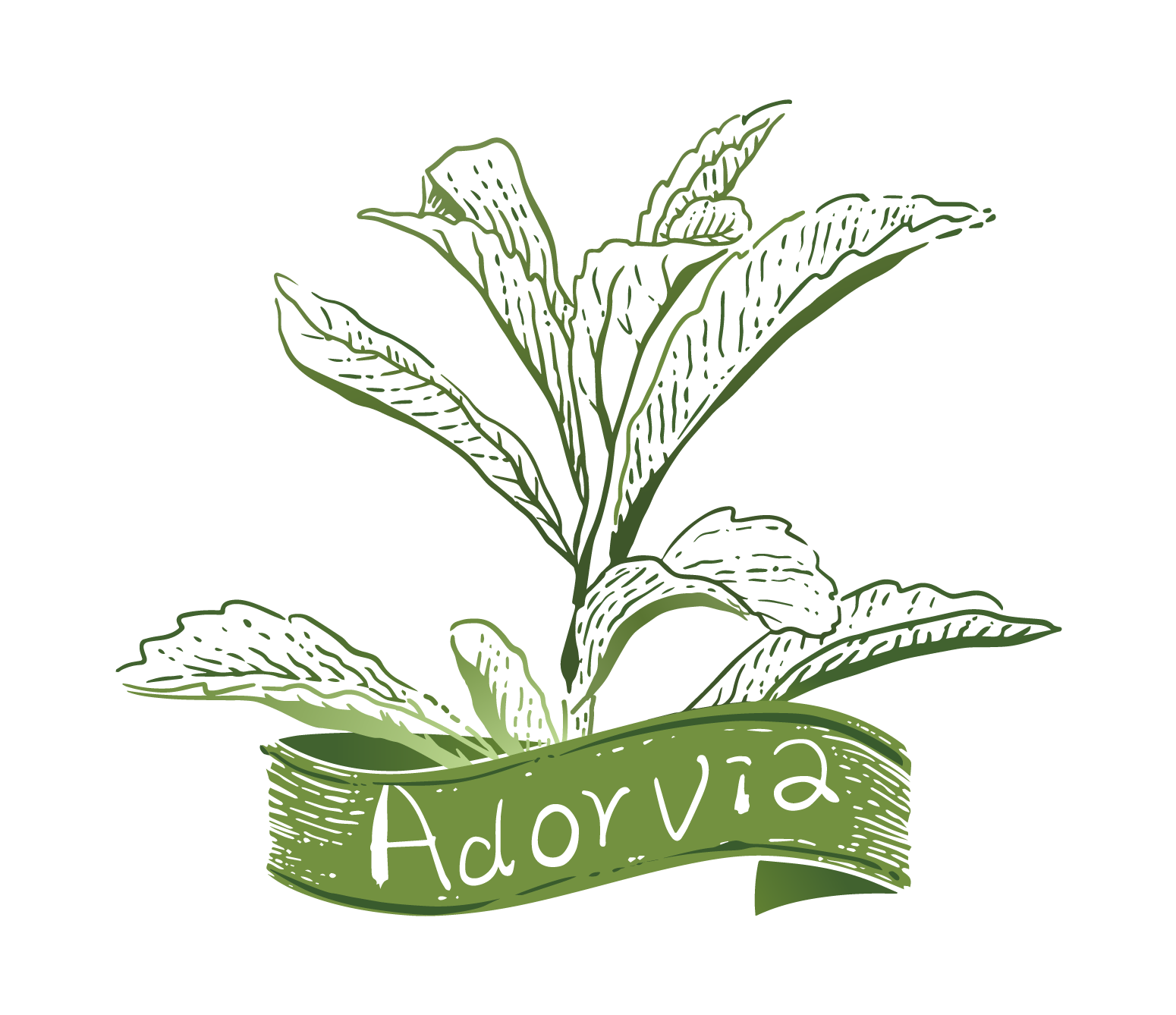 Adorvia Biotechnology (Shanghai) Co., Ltd