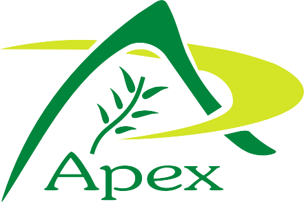 Apex International