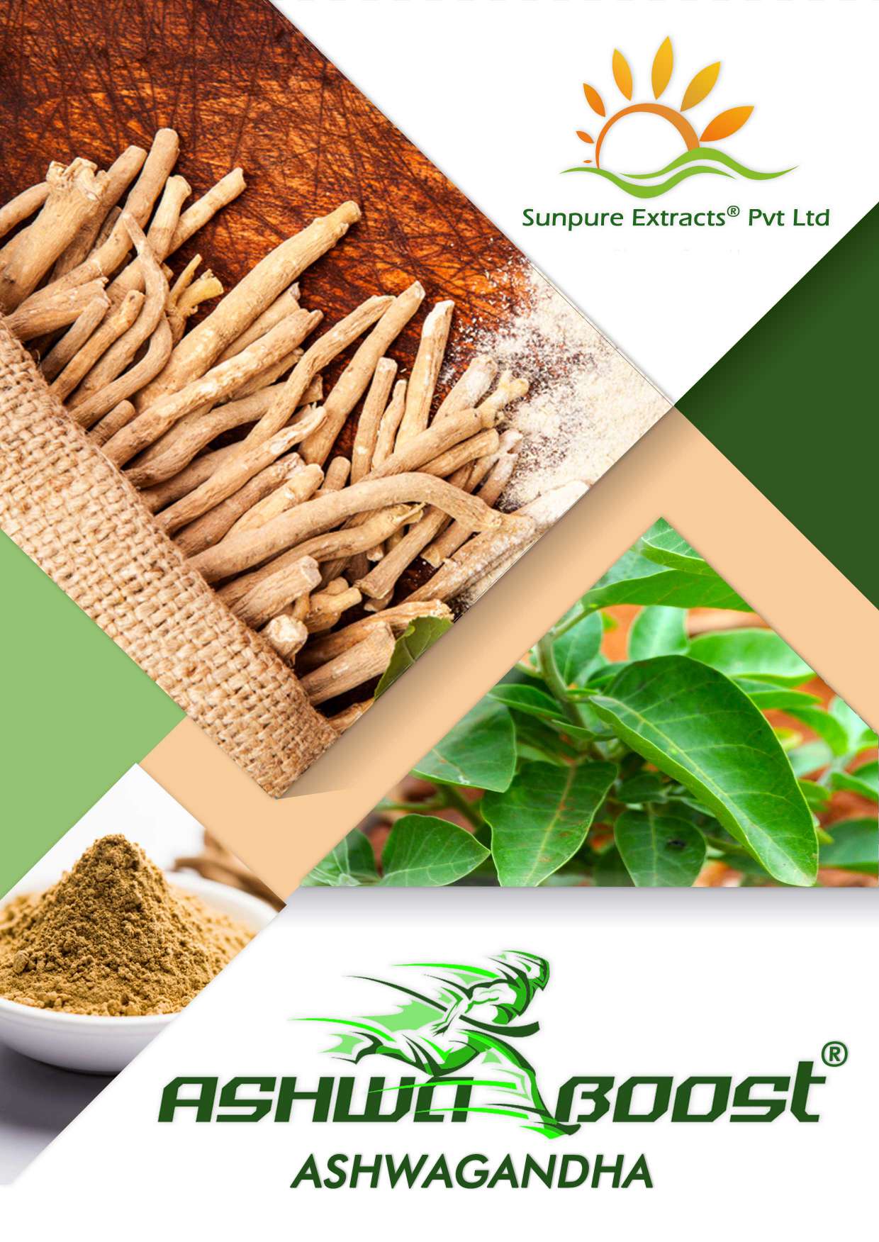 ASHWABOOST®– Ashwagandha Extract for Optimal Health and Wellness