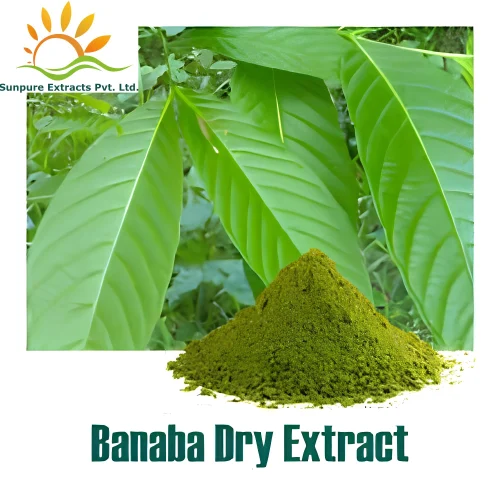 BANABA LAGERSTROEMIA EXTRACT