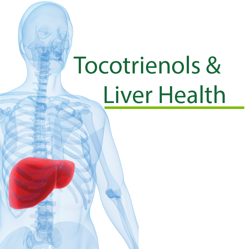 Keeping Liver Healthy with Tocotrienols
