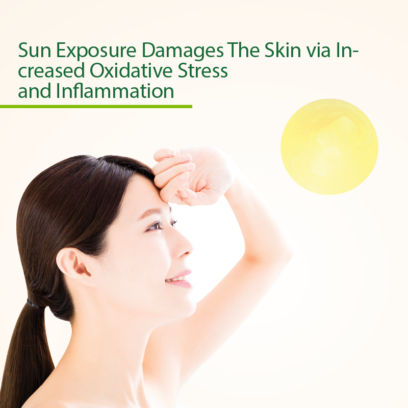 Protective effects of DavosLife E3 Tocotrienols in Skin