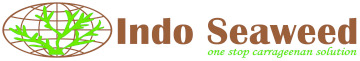 PT. Indo Seaweed