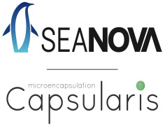 SEANOVA CAPSULARIS