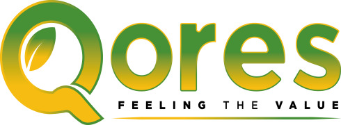 Qores SRL