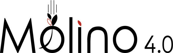 Molino 4.0 Srl