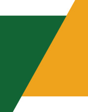 Rikkei Trading Corporation