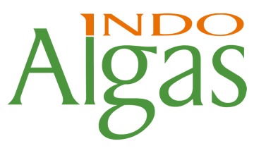 SURYA INDOALGAS PT