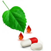 Phyto Ingredients Biopharma Pvt Ltd