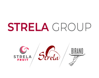 Strela group