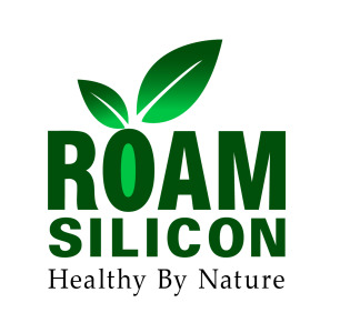 Roam Silicon BV