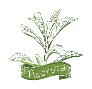Adorvia Biotechnology (Shanghai) Co., Ltd