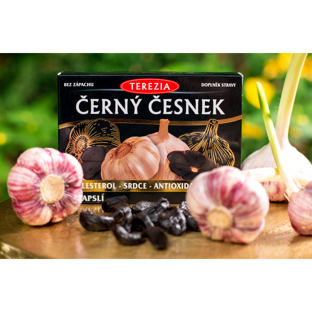 Video presentaion Terezia company