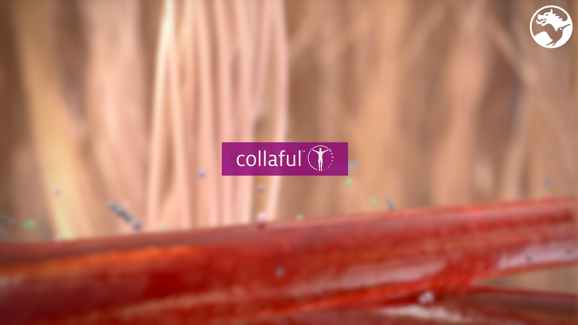 Collaful™, a collagen-based solution for overall well-being