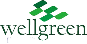 Wellgreen Technology Co.,Ltd