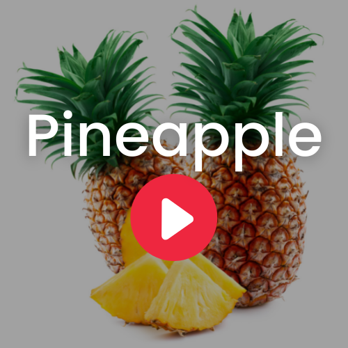 Pineapple Powder - Ecuadorian Rainforest LLC.