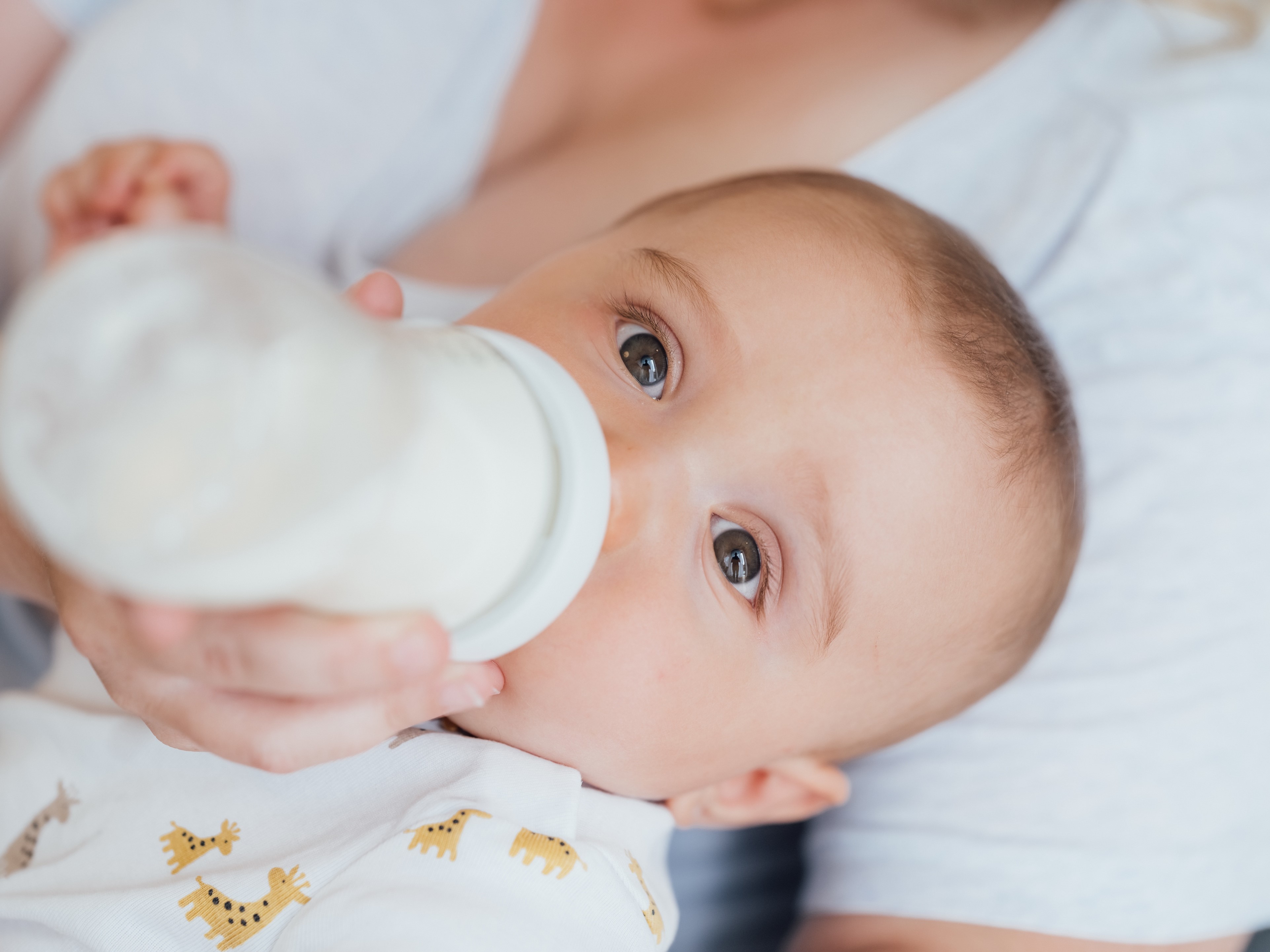 World Market Leader in Organic Infant Nutrition Ingredients