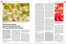 Enhancing product properties with fluid bed and spouted bed technologies