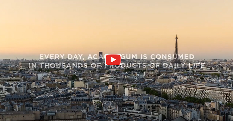 Applications of acacia gum