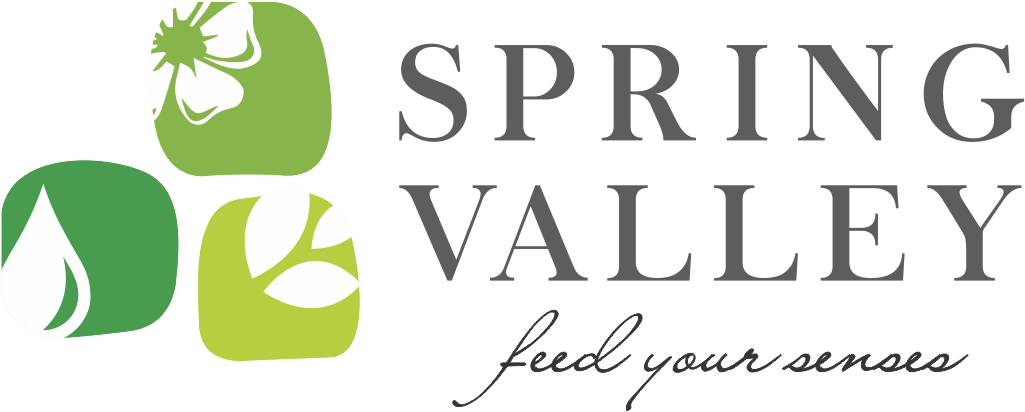 Springvalley Marketing Pvt Ltd