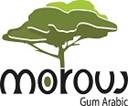MOROUJ COMMODITIES UK LIMITED