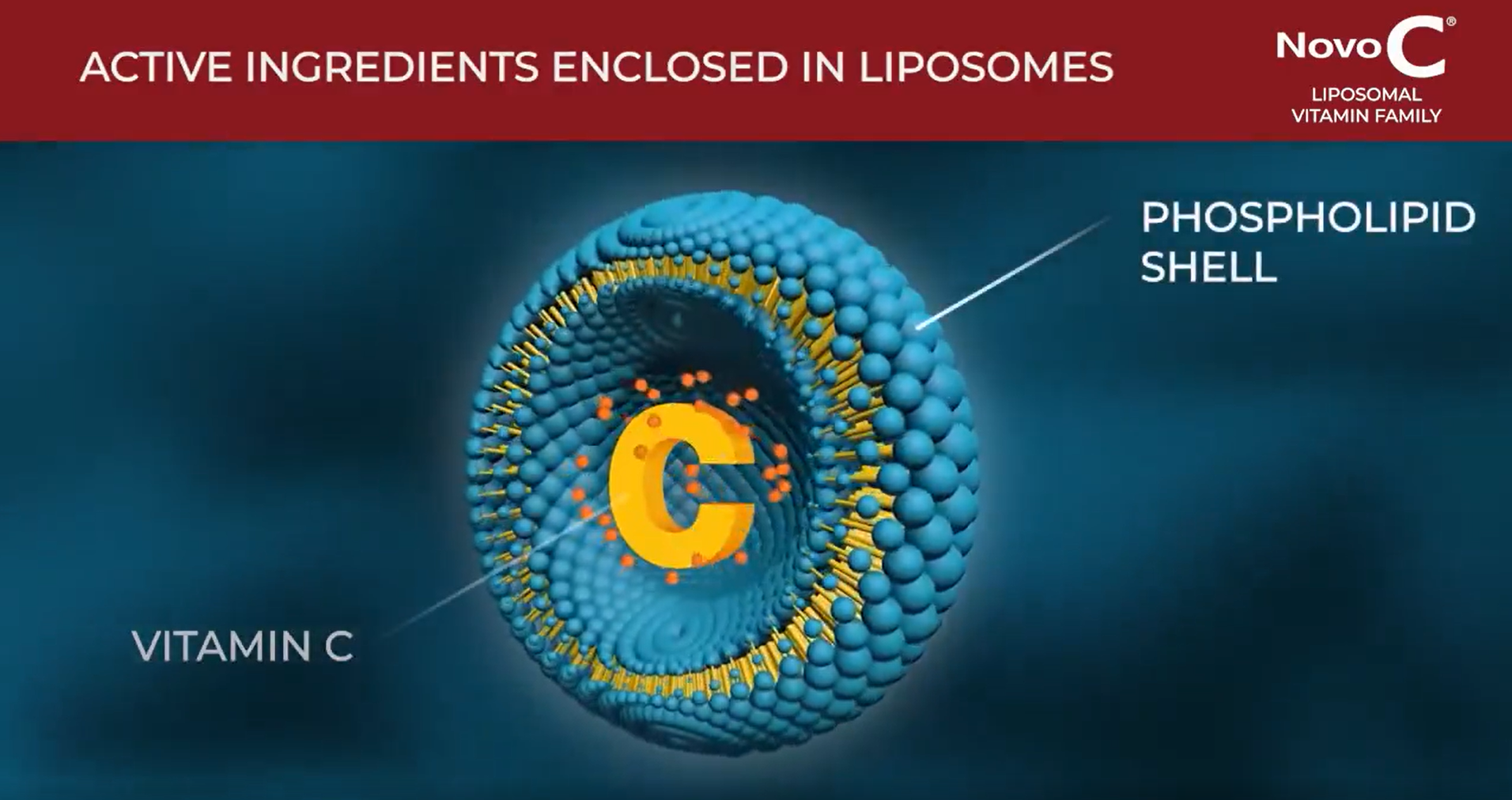 Why Is Liposomal Vitamin C Better Absorbed?