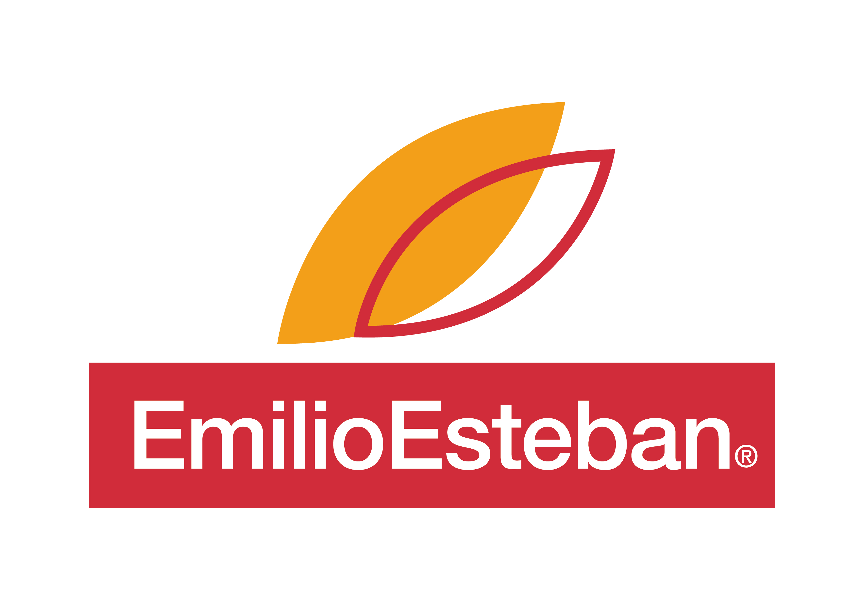EMILIO ESTEBAN, S.A.