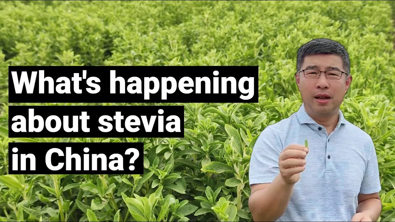 What's happening about stevia in China？
