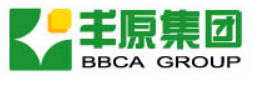 ANHUI BBCA BIOCHEMICAL CO  LTD