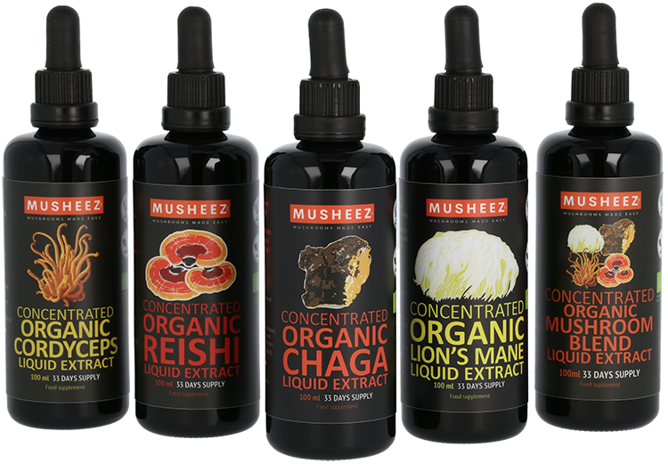 BOTTLING ORGANIC MUSHROOM LIQUID EXTRACTS - REISHI, CHAGA, LION'S MANE and CORDYCEPS