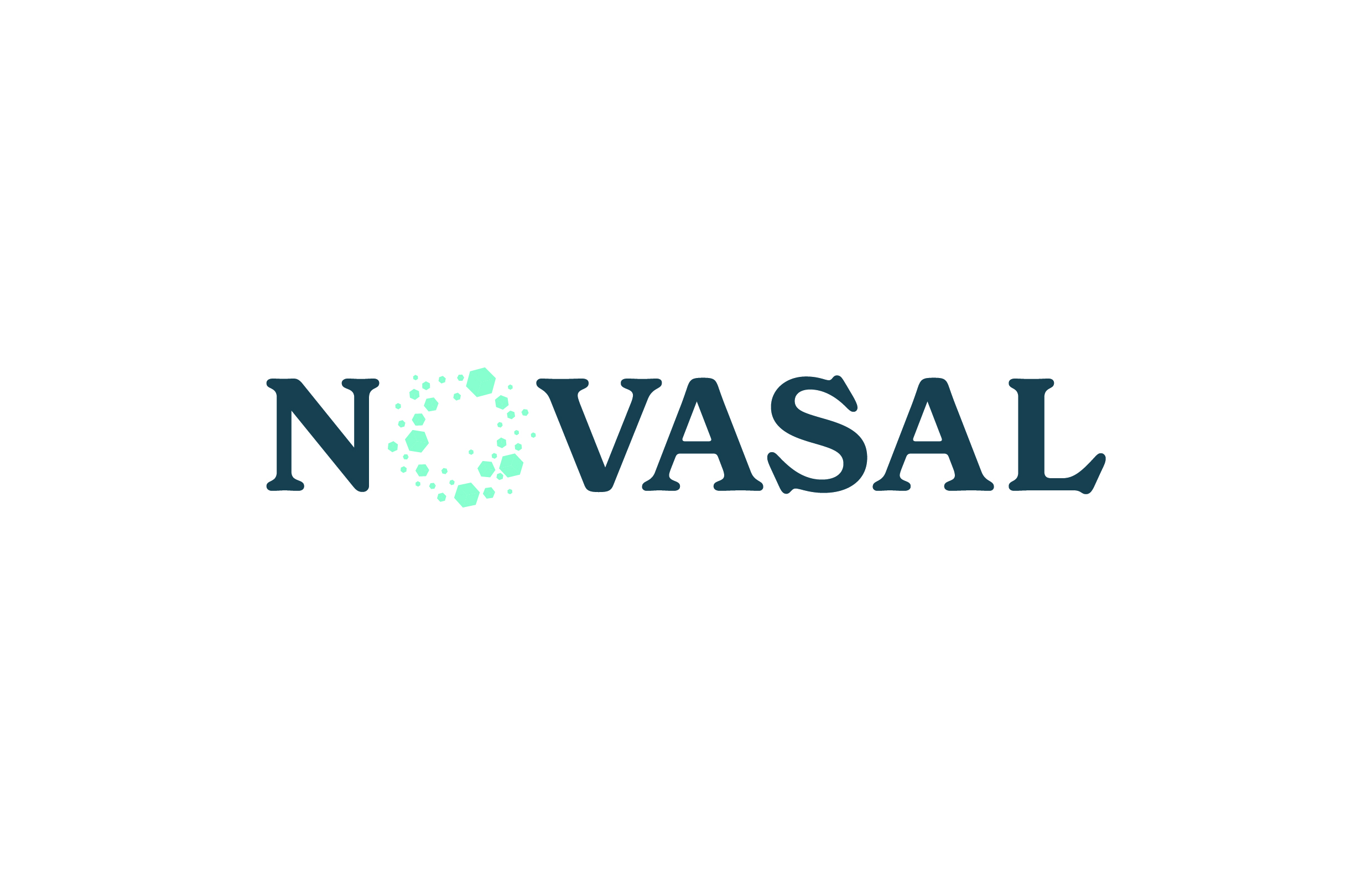 Novasal - Nature's Smart Salt Flyer