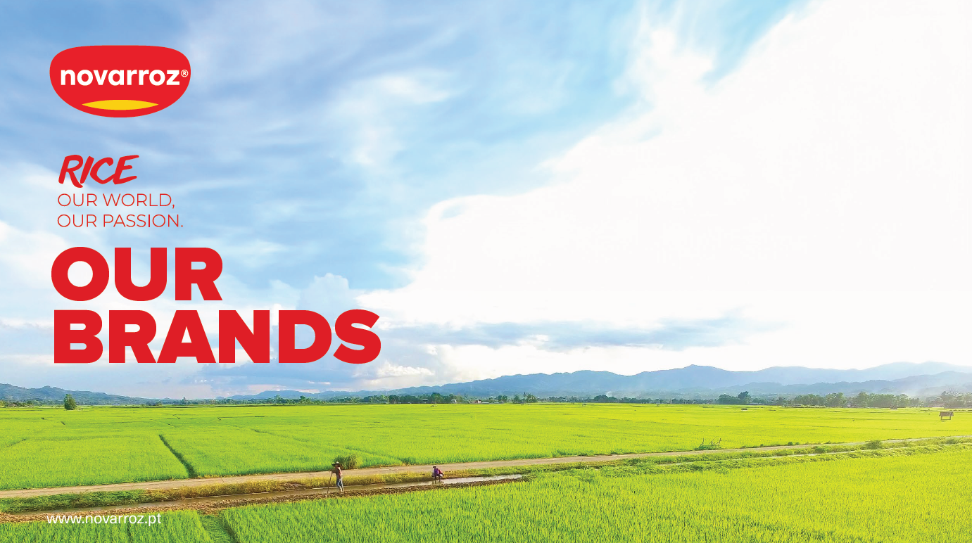 Catalogue - Our Brands