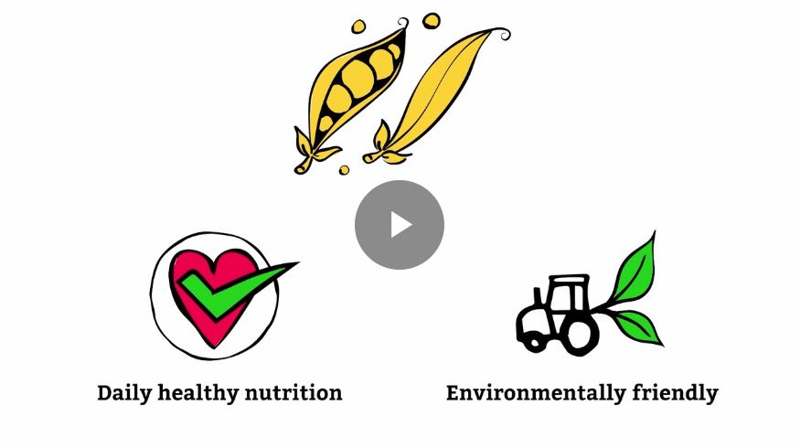 NUTRALYS PEA PROTEIN Story - VIDEO