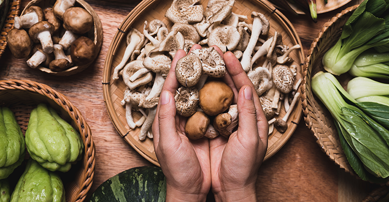 © AdobeStock/nungning20