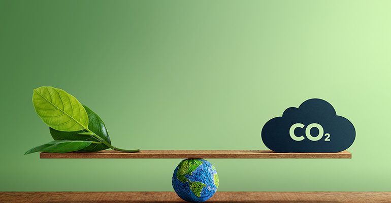 © AdobeStock/blacksalmon