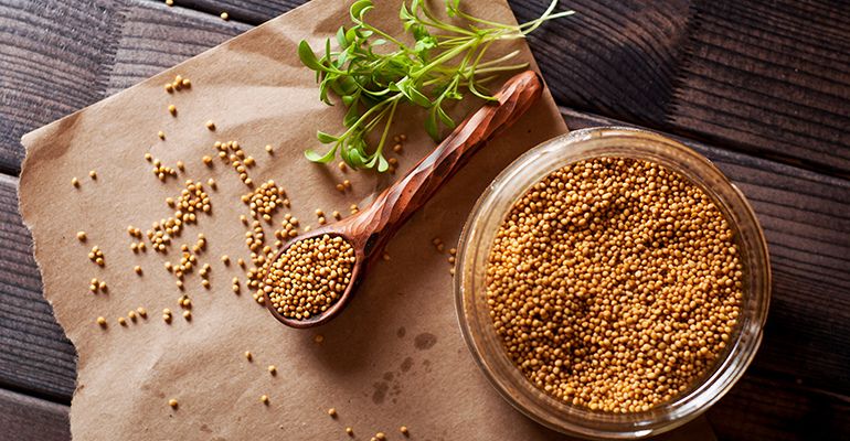 © AdobeStock/chattenoir