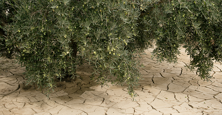 © AdobeStock/majivecka