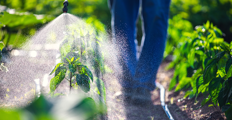 © AdobeStock/ValentinValkov