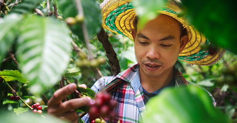 © Copyright Credit: Punchy Drinks