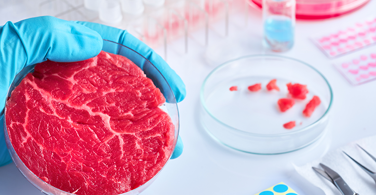 © AdobeStock/tilialucida