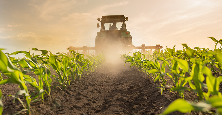 © AdobeStock/Budimir Jevtic