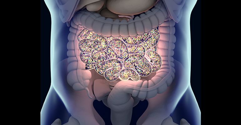 © iStock/ChrisChrisW