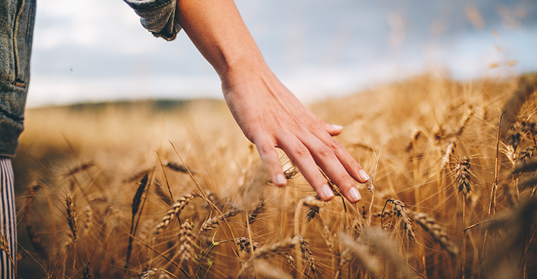 © iStock/FluxFactory