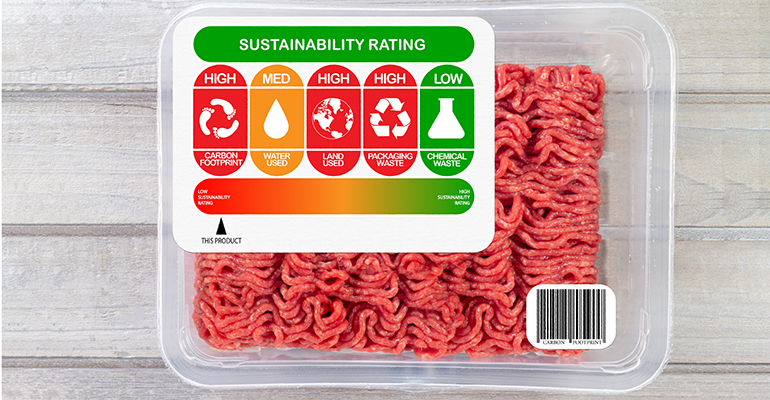 © AdobeStock/HollyHarry