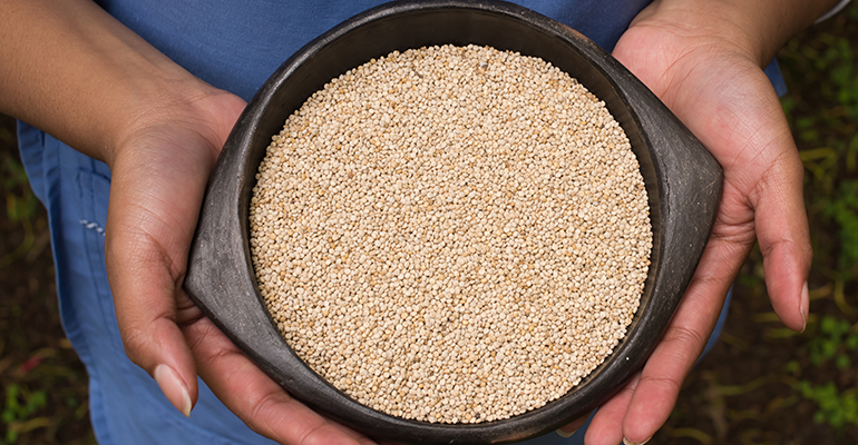 Pictured: Quinoa © AdobeStock/goldnetz