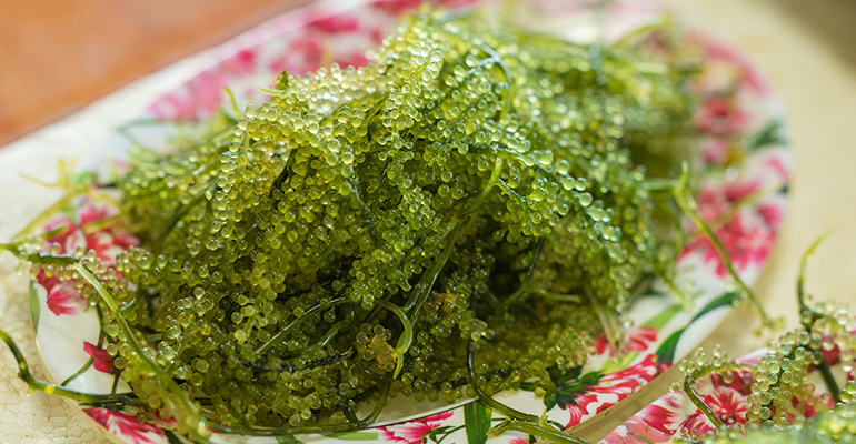 Credit: © AdobeStock/he68