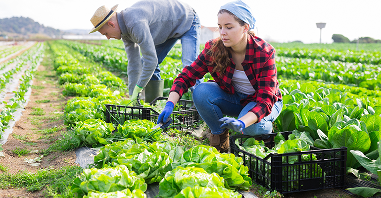 Credit: © AdobeStock/JackF